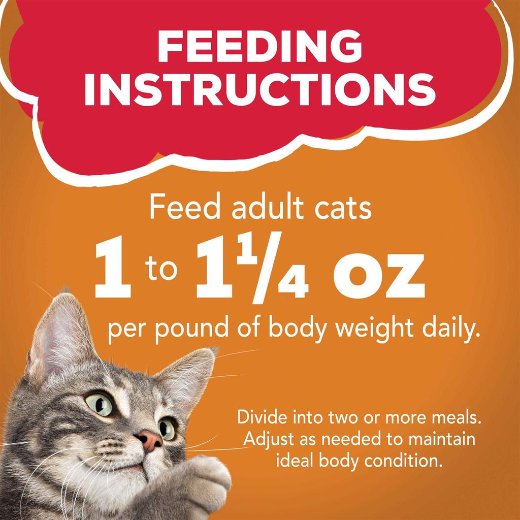 Wet Cat Food with Chicken in Gravy Y308643