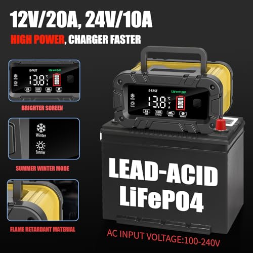 20A 12/24V Automatic Smart Battery Charger R769