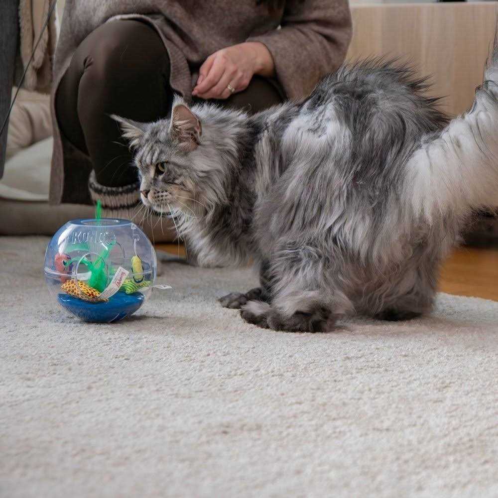 Glow Aquarium Cat Toy R9248