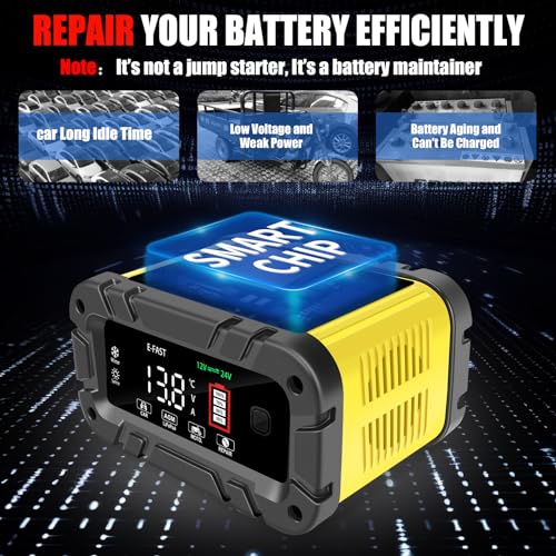 20A 12/24V Automatic Smart Battery Charger R769