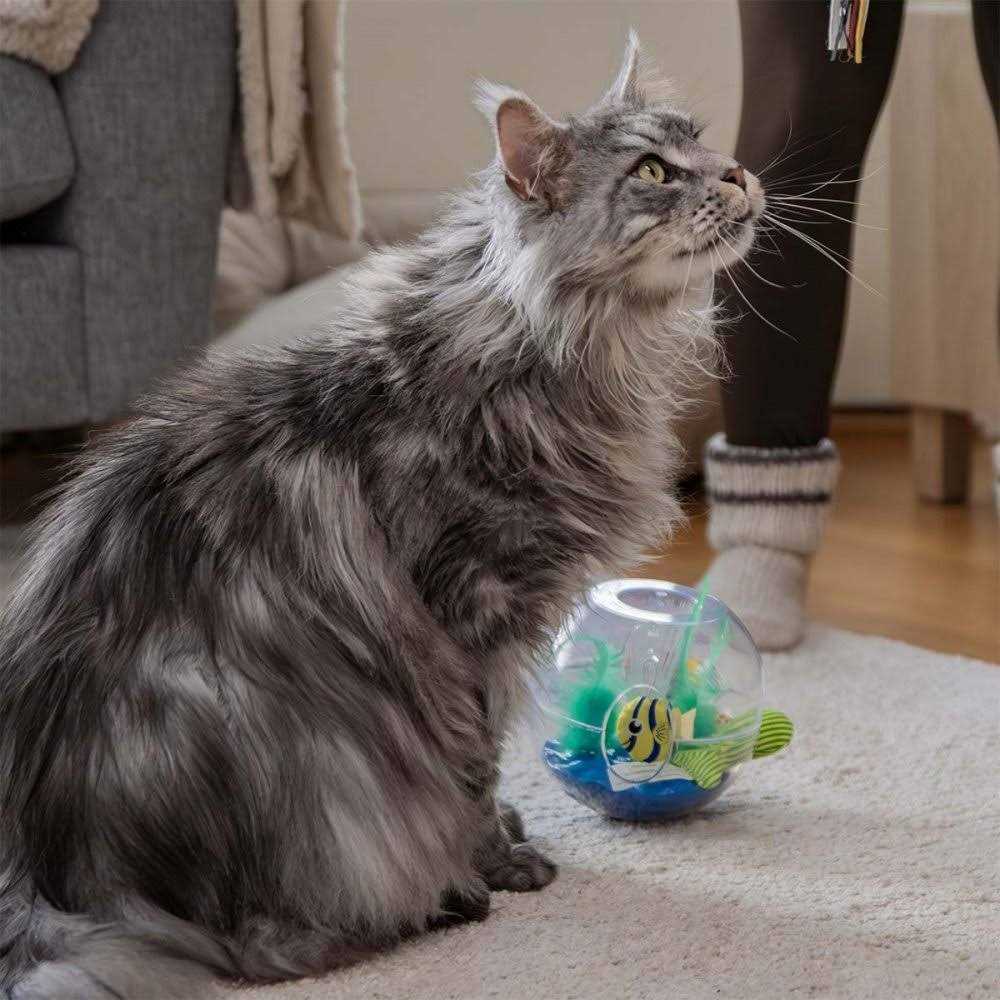 Glow Aquarium Cat Toy R9248