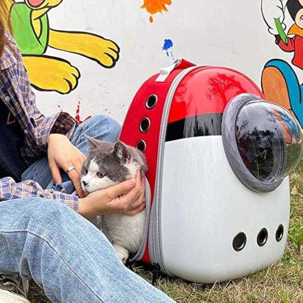 Portable Bubble Pet Carrier Backpack F806