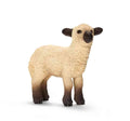 Shropshire Lamb X58534