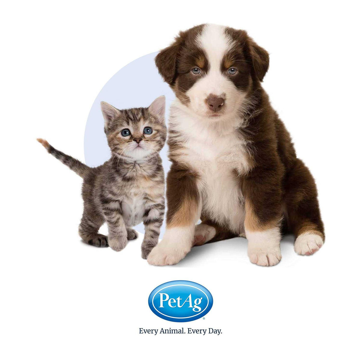 High Calorie Gel for Cats E586483