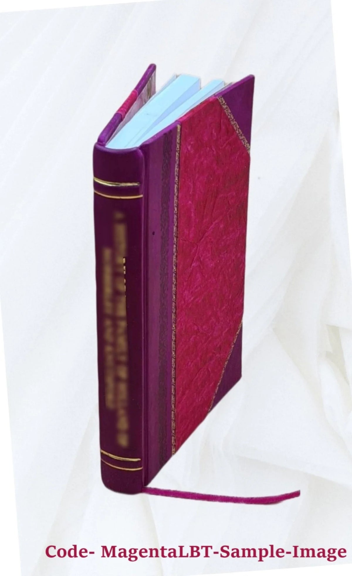 1920 Seed Catalogue Leather Bound D57321
