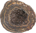 Natural Agate Druzy Geode Quartz Cluster Raw Crystal Mineral Specimen H71831