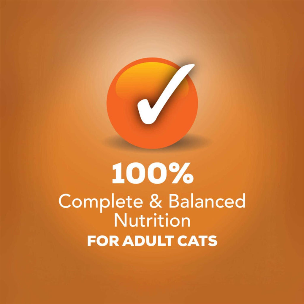 Wet Cat Food with Chicken in Gravy Y308643