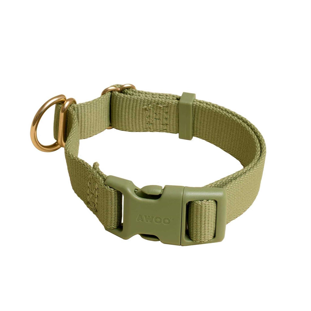 Standard Dog Collar Z79694