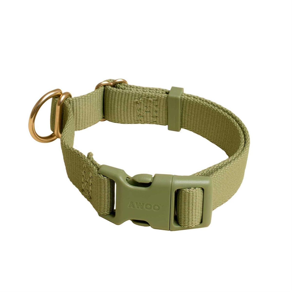 Standard Dog Collar Z79694