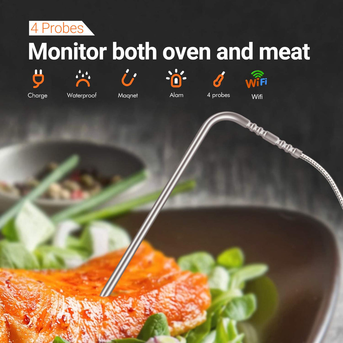 WiFi Meat Thermometer with 4 Probes & Hard Carrying Case E29365