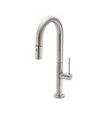 Matte Black Pull-Down Prep Bar Faucet R575597