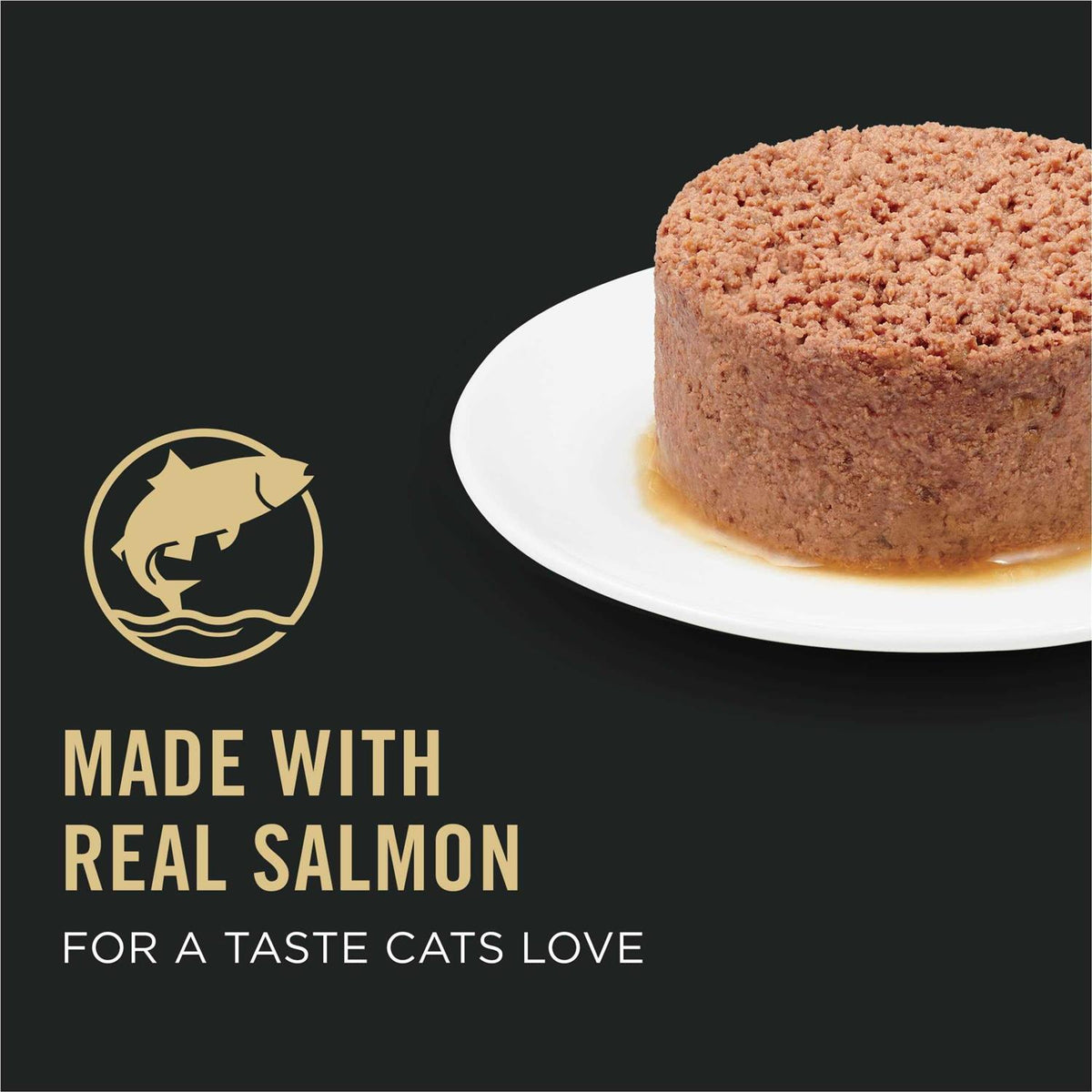 Wet Cat Food K191