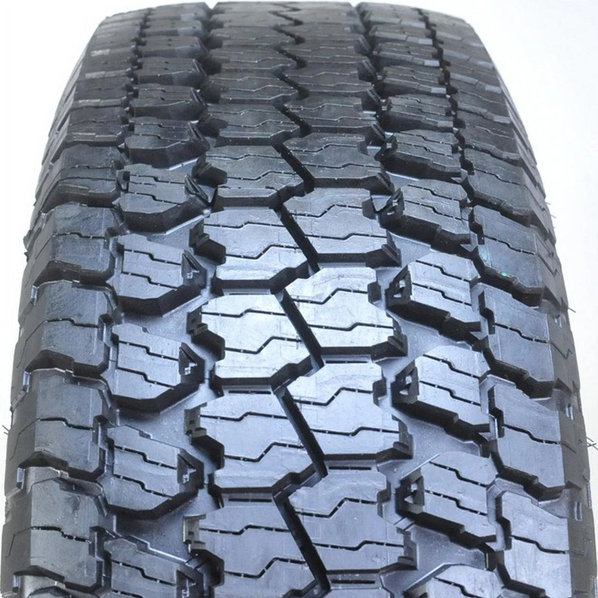 All-Season Tire V497521