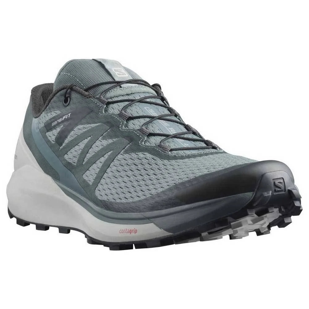 Salomon Sense Ride 4 EU 40 2/3 I34488