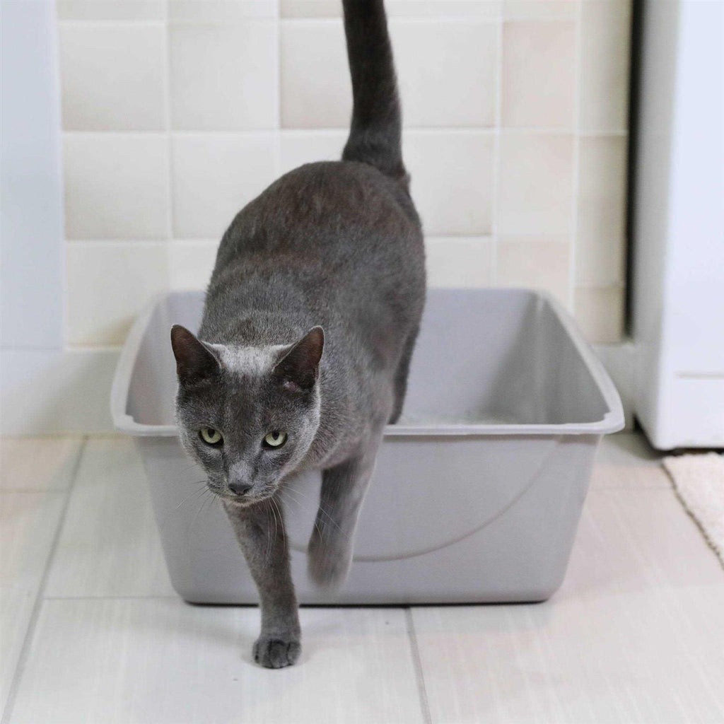 Litter Pan M333405