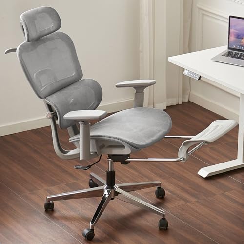 Ergonomic Mesh Office Chair with Footrest T811