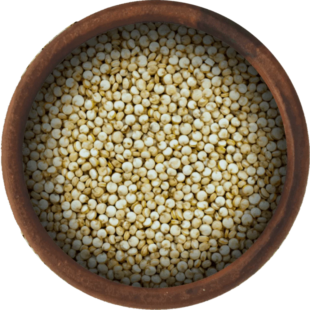 White Quinoa Seeds 25 Pound Box E900