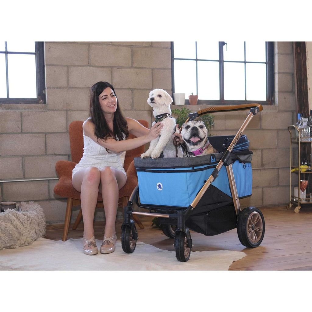 Pet Stroller A579164