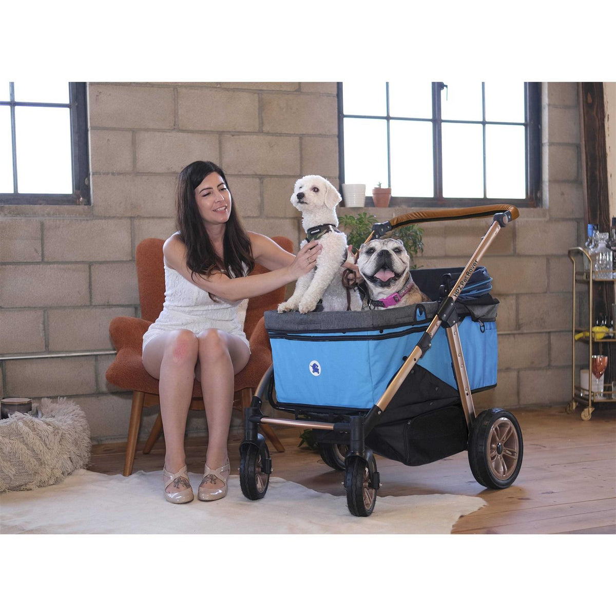 Pet Stroller A579164