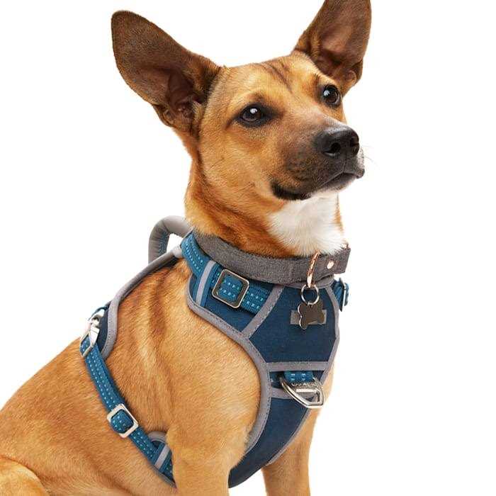 Navy Dog Harness K215062