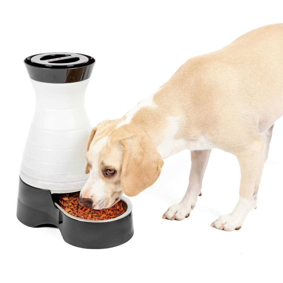 Healthy Pet Food Station K37401